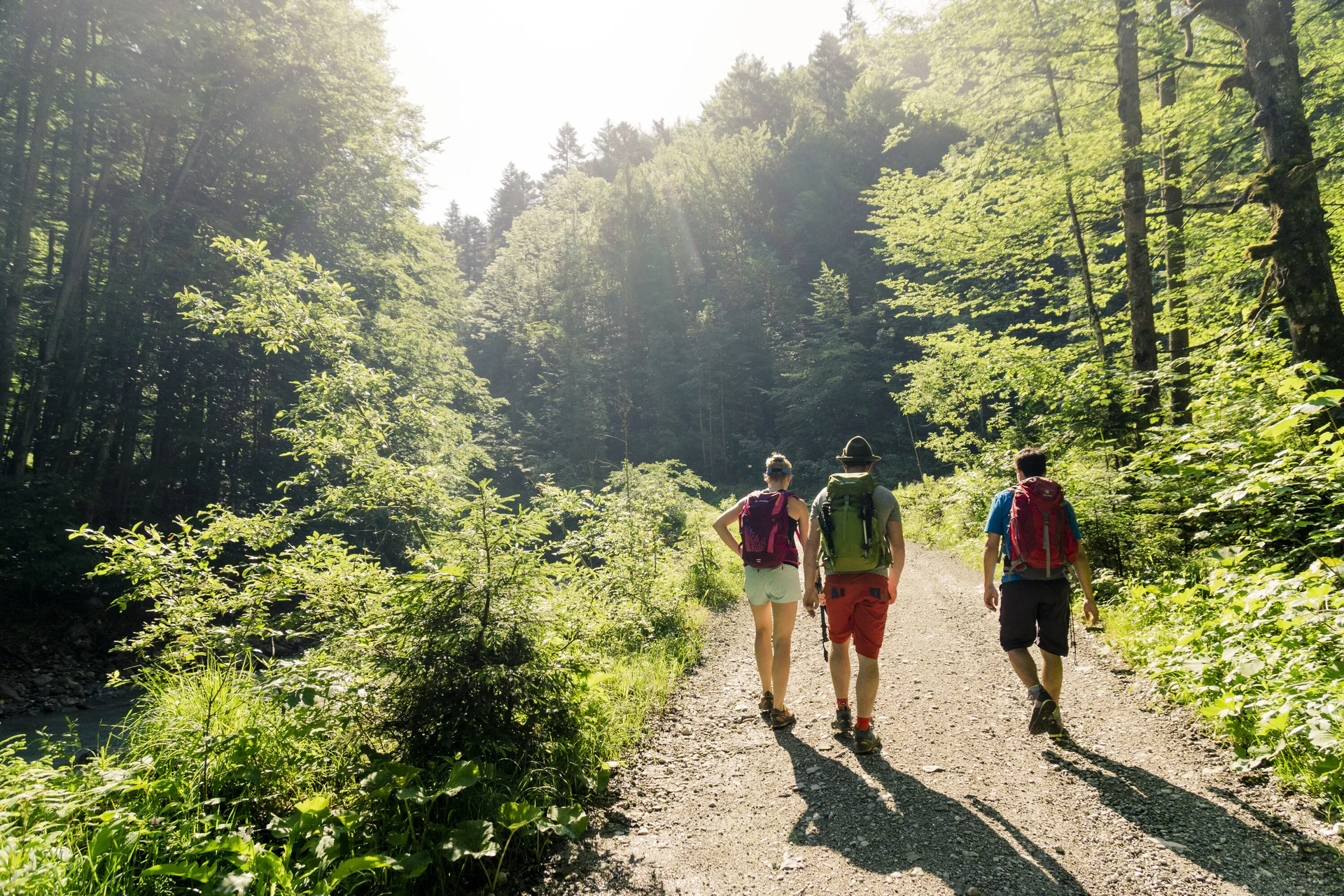 Drei Wanderer auf einem Bergpfad in den Chiemgauer Alpen | © DAV/Hans Herbig
